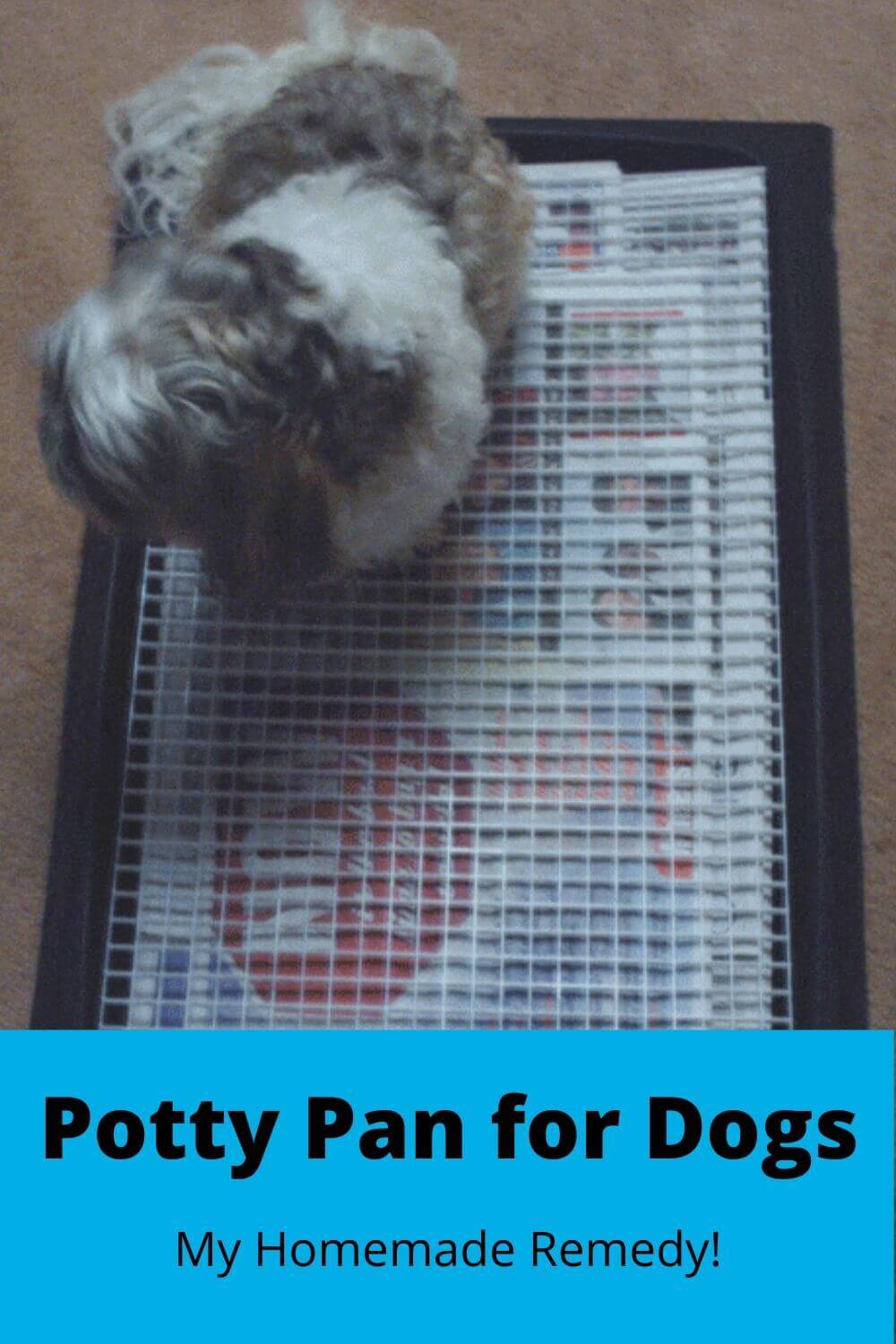 Potty pan for dogs - my homemade remedy!