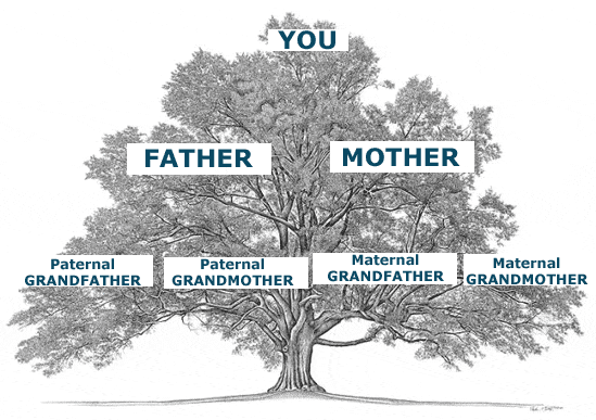 a tree with textboxes overtop showing family history