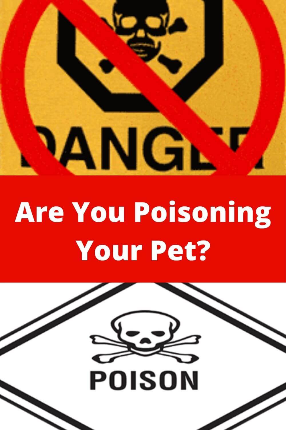 Are You Poisoning Your Pet?