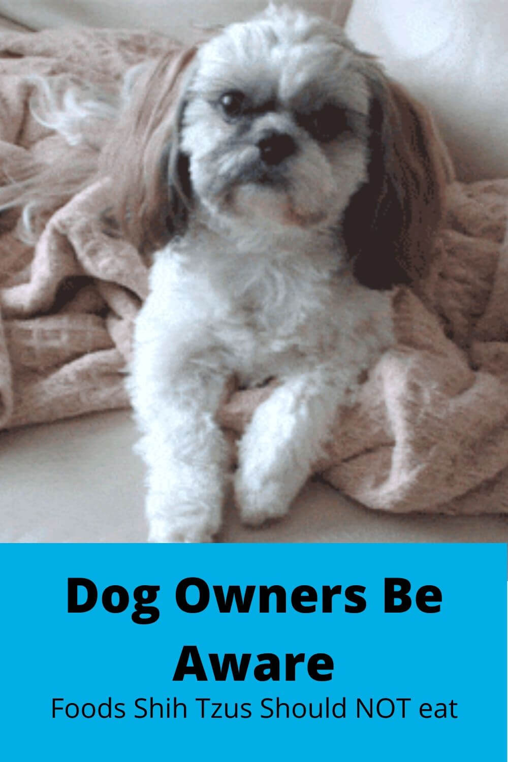 Dog Onwers Be Aware