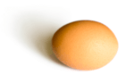 an egg used as a header image