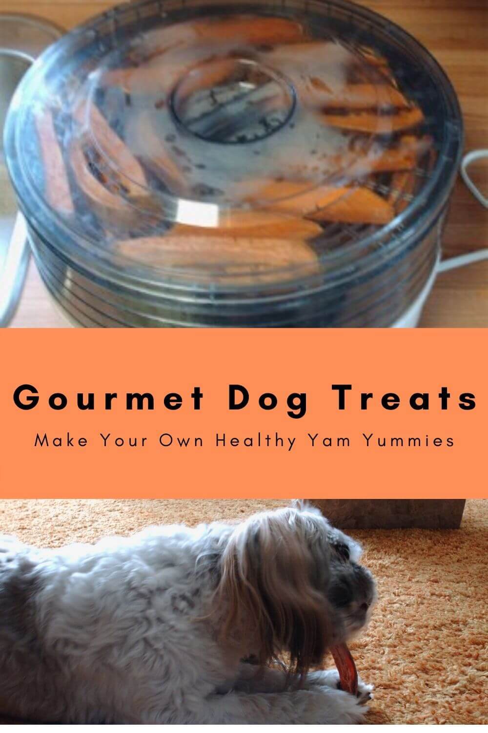 Gourmet Dog Treats: Make Your Own Healthy Yam Yummies - Trish's ...