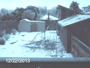 22 Dec 2013 - back yard