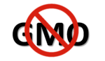 A symbol for not allowing GMO used as a header image