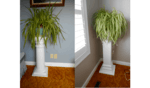 picture of two pillar styled plant stands, used as a header image