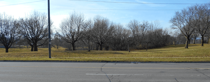 photograph of my view of the park across the road from my home, used as a header image