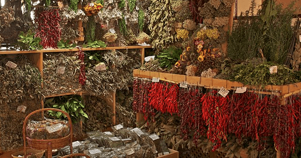 a room full of drying herbs hanging all over the place