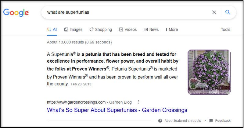 screen print of a Google Featured Snippet describing what a Supertunia is