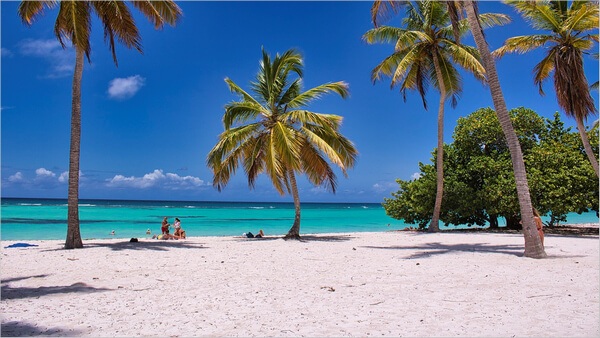 tropical paradise beach