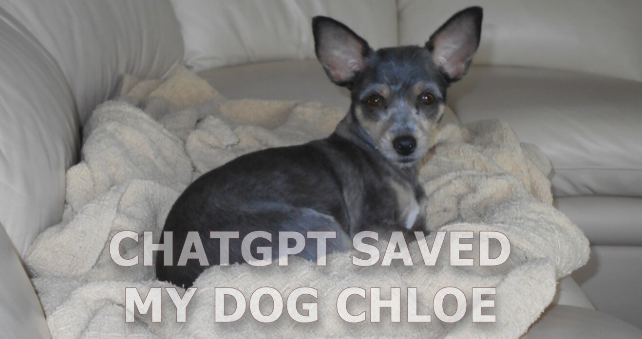 ChatGPT Saved My Dog Chloe