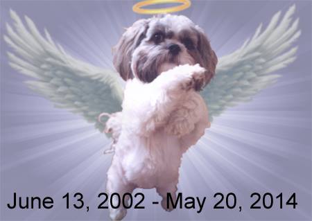 Nugget as a angel
